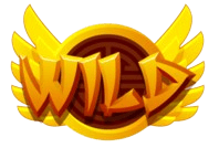logo RADEN899